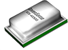 ICS-40300