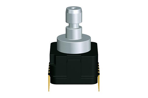 压力传感变送器:Gauge_AK2_tds0033-n