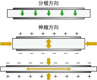 图3 压电陶瓷的伸缩