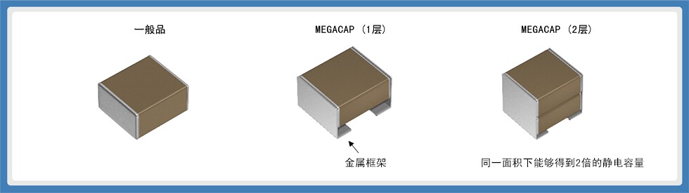 图19：MEGACAP的结构